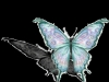 Blue pink Butterfly