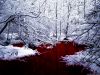 As Blood to Snow 