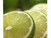 Limes