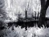 Sanctuary of Frost 