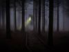 Voice in the Darkness