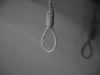 The Anatomy of a Noose