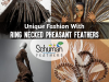 Unique Fashion With the Ring Necked Pheasant Feathers