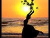 Grains Of Sand: Dancers Of The Sea