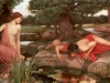 The Story of Echo and Narcissus...