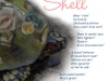 Porcelain Shell