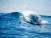 The Ocean!