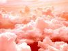 Pink Cloud Pilllows