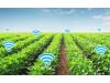 Smart Agriculture Market Size, Key Players, Industry Growth Analysis and Forecast to 2028