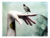 Spoken Word Entry (Facebook)