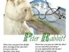 Where Have You Gone Peter Rabbit