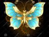 Blue gold butterfly