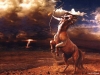 Lasso Me A Centaur