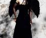 Trying To Soar On Broken Wings