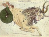 Capricornus