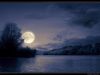 Tranquil Moonlight