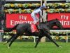 Best 4 Horse to take into consideration throughout Melbourne cup