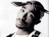 Creativity was in his genes Tupac exhibited a high calibur of poems throughout his life.