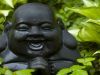 The Buddha's Smile