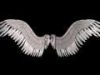 an angels wings