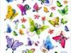 Illusive Butterflies
