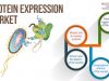 Why Are Pharmaceutical Companies Using Protein Expression Systems?