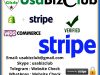  Buy Verified Stripe Account
