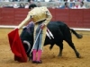 American Bullfighter