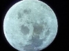 Alabaster Moon