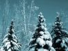 Winter Haiku #2