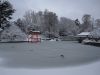 Ice on the Pond
