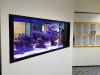 The Ultimate Guide to Home Aquarium Care, Marine Fish Tank Maintenance, Custom Fish Tank Constructio