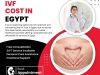 IVF Cost in Egypt &ndash; Affordable Treatment Options for Couples Seeking Parenthood