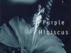 Purple Hibiscus 