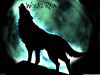 Wolf's Rain Anime Review