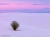 White Sands