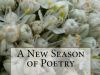A New Season of Poetry