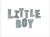 The little boy