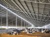 Important Points to Consider While Doing Dairy Business