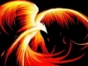 The Phoenix Rebirth
