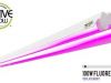 Active Grow Launches 40W 4FT LED Grow Light Fixture for Microgreens & Tissue Culture