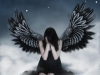 *Fallen Angel*