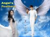 Angel's Feathers : Mystery