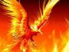 Bird of Fire