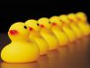 all the ducks in a row