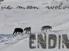 Ending: Epilogue