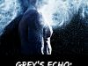 Grey's Echo: The End