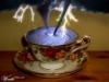 Storm In A Tea Cup