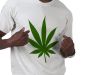 The Marijuana Shirt (The Sun And The Wind)
