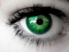The green eyed monster.